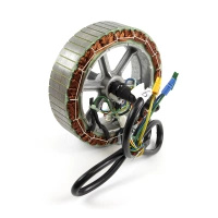 Stator for motor MXUS 3K v3 Turbo (21x3)