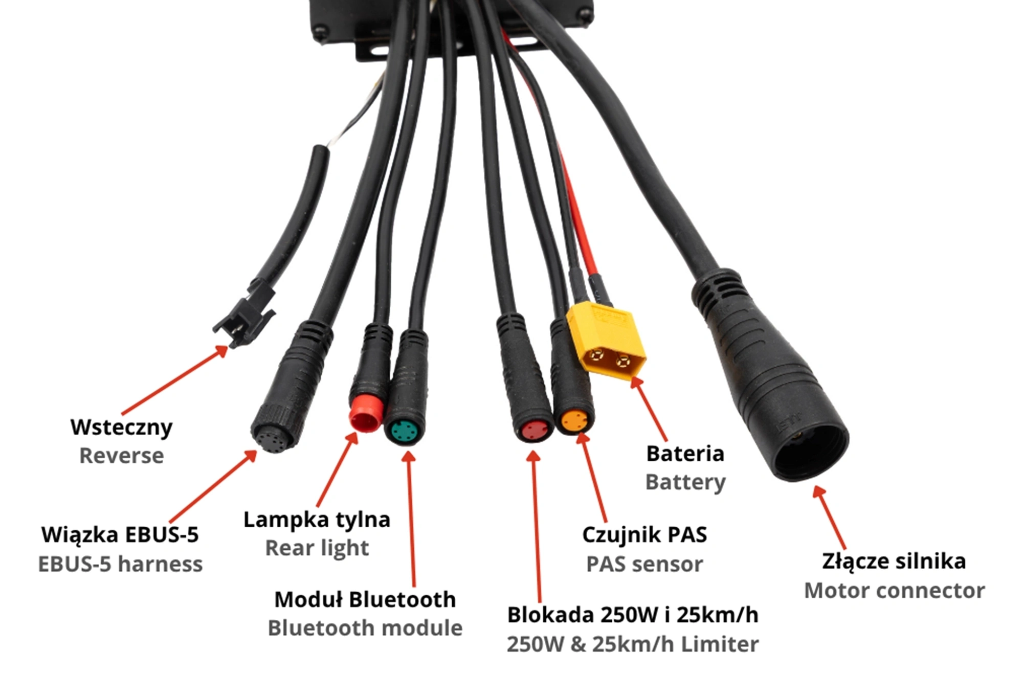Sterownik KT36/48SVPRCLDB 36-48V 35A (sinus) Czarny pol_pl_Sterownik-KT36-48SVPRCLDB-36-48V-35A-sinus-Czarny-1483_2